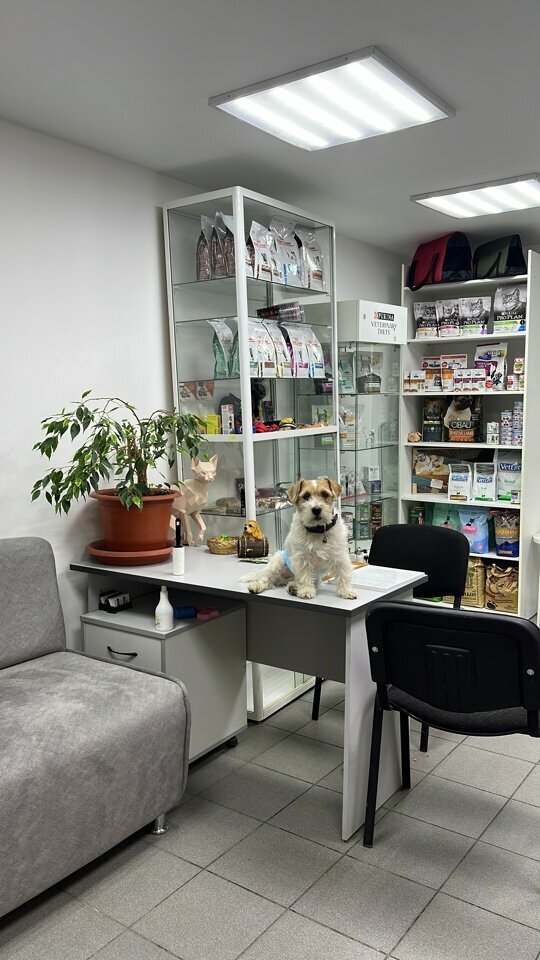 more clinic photos 3034