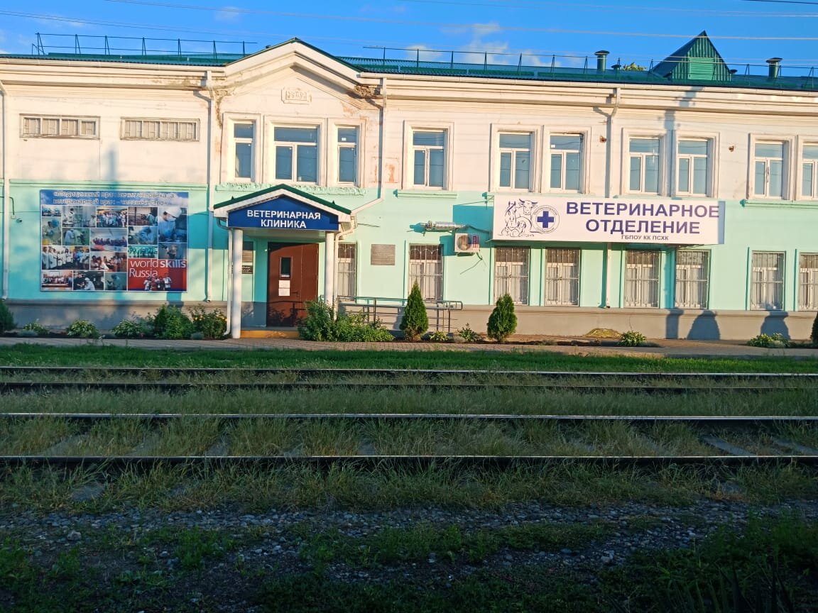 clinic general image