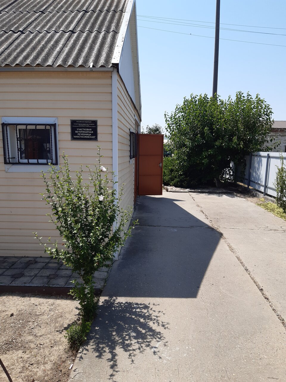 Фото клиники 42080