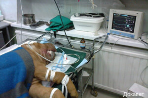 more clinic photos 48055