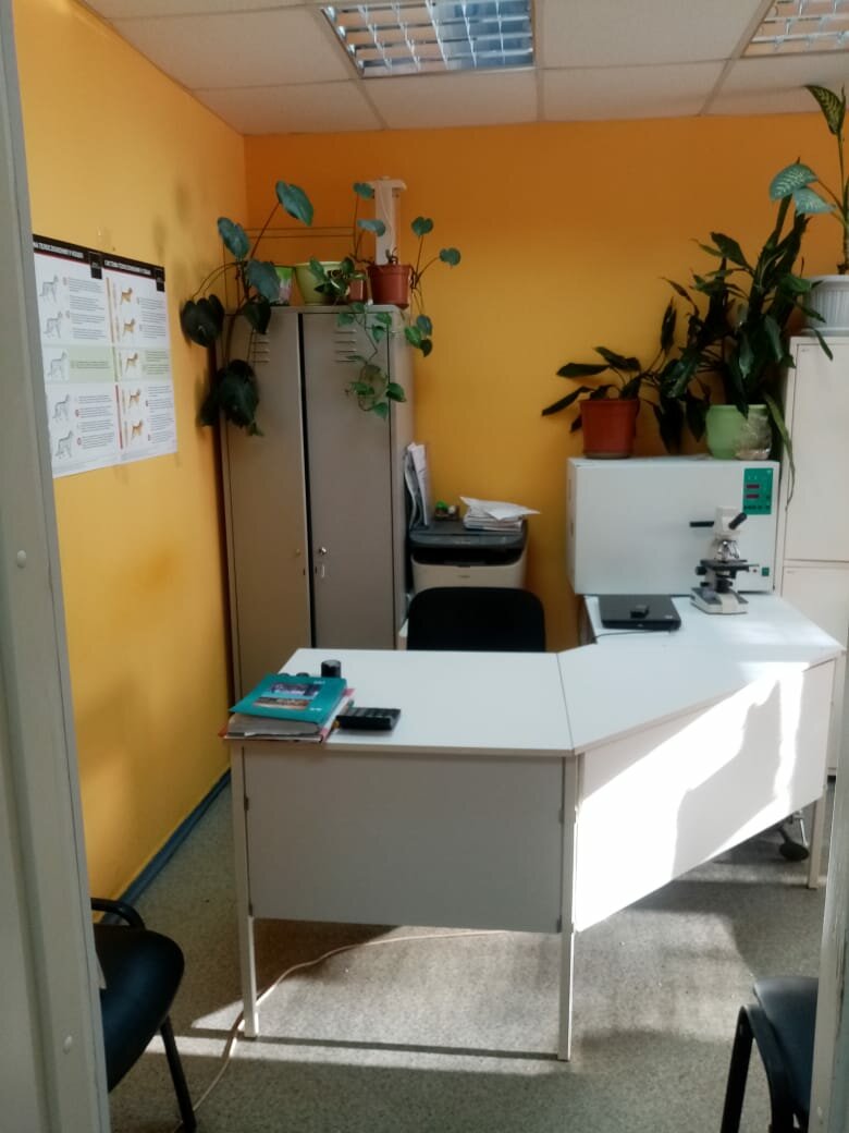 more clinic photos 17310