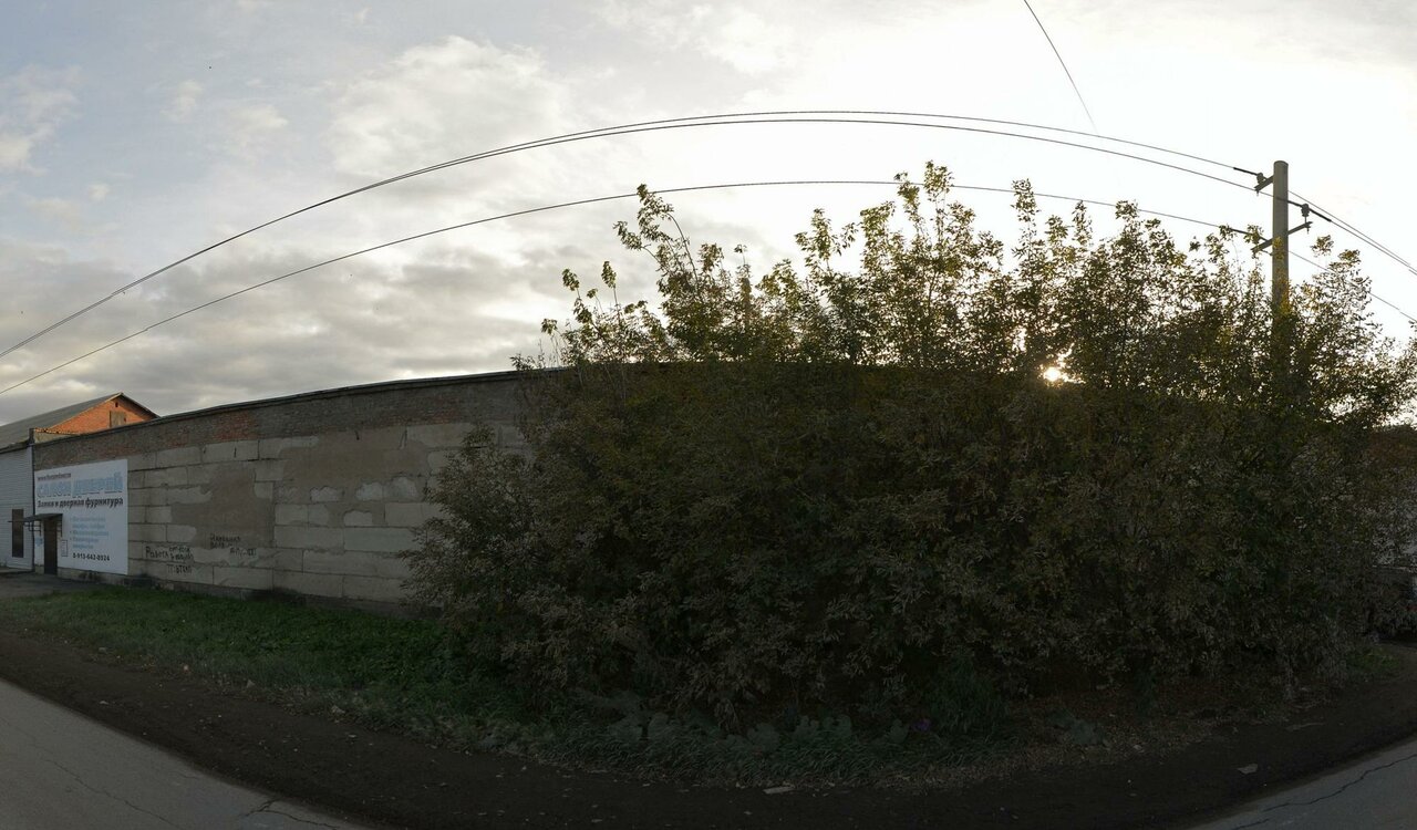 Социальный ветеринарный кабинет