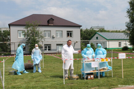 Новокузнецкая городская станция по борьбе с болезнями животных, Ветеринарные клиники