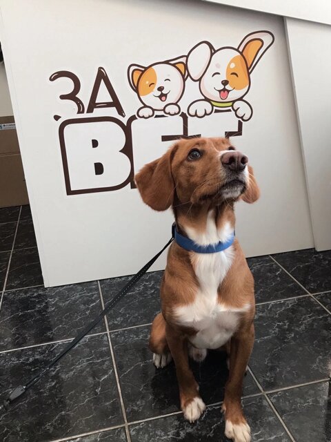 more clinic photos 73601