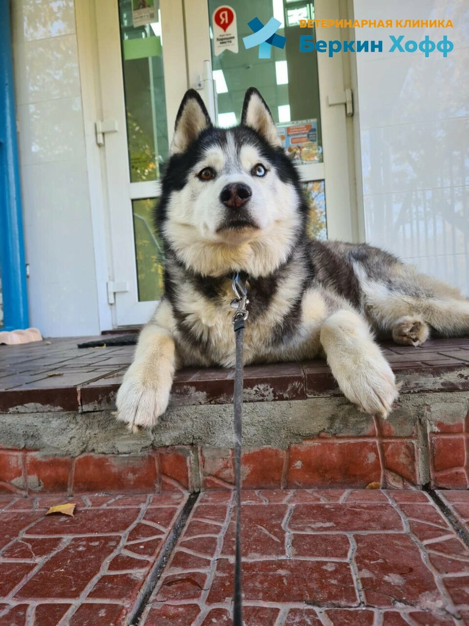 Фото клиники 82747