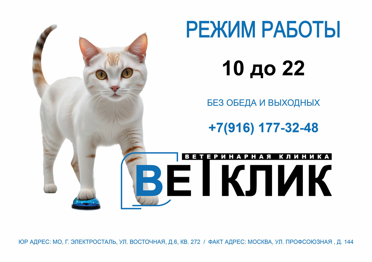 Фото клиники 18635
