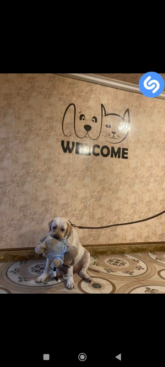 more clinic photos 15907