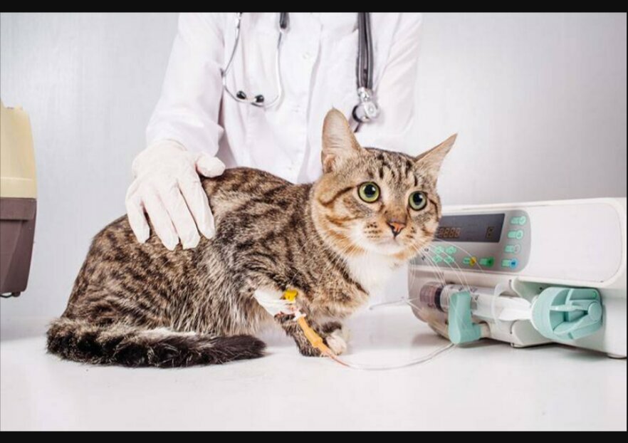 clinic general image