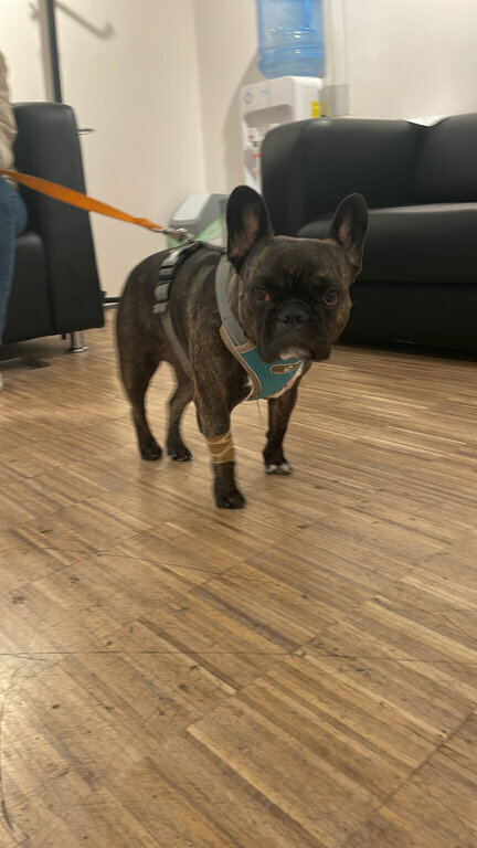 more clinic photos 13986