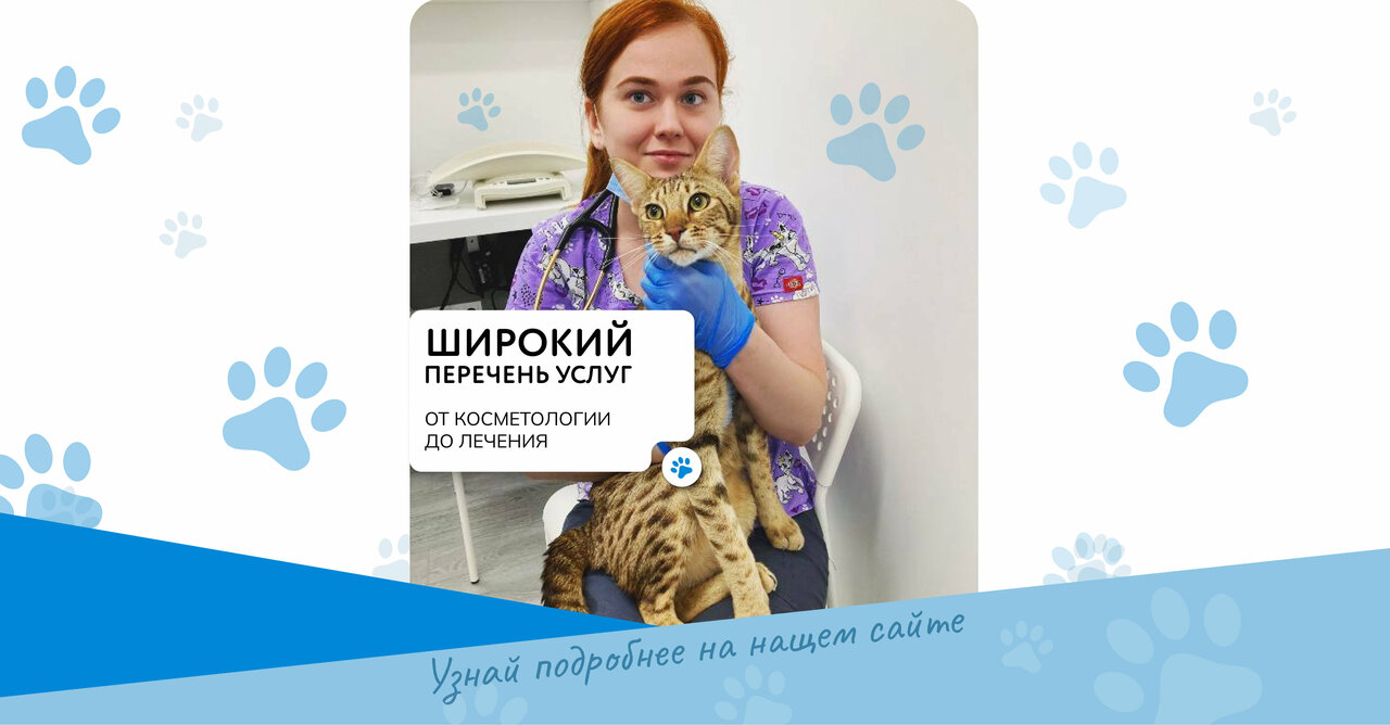 Главное фото клиники