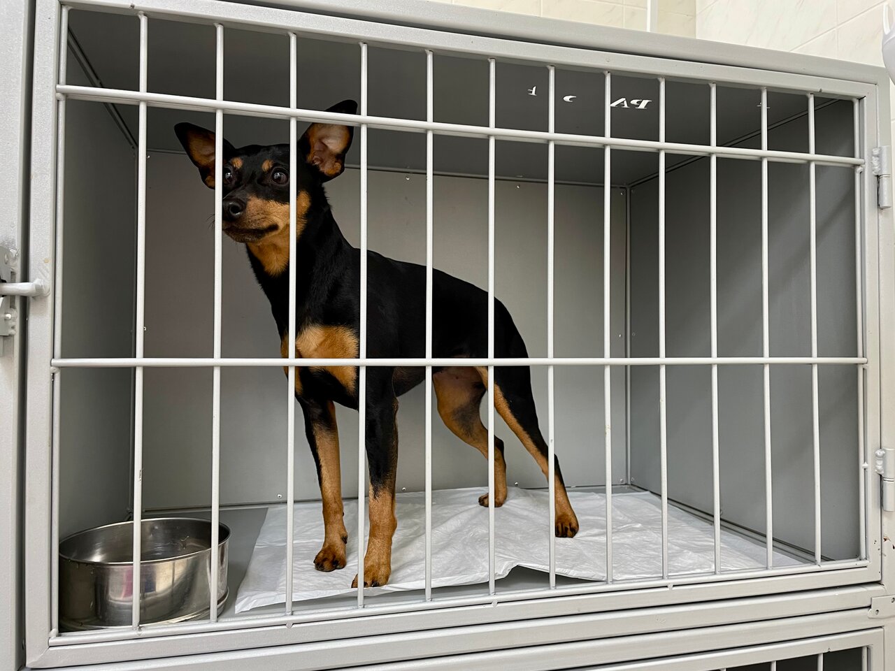 more clinic photos 46856