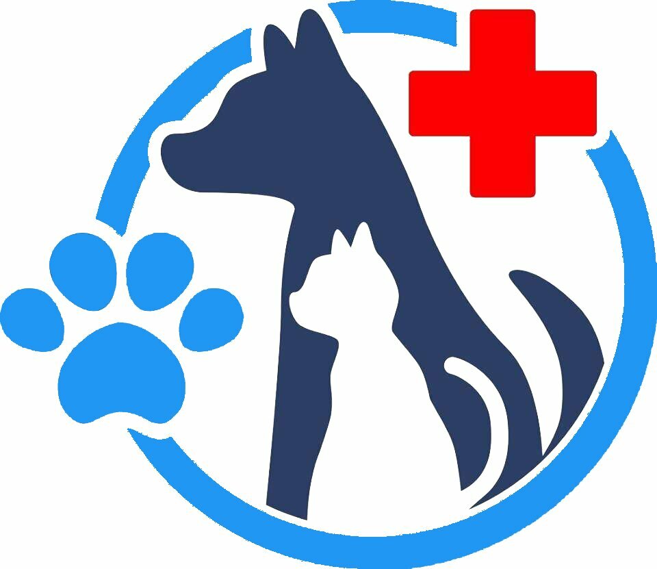 clinic general image