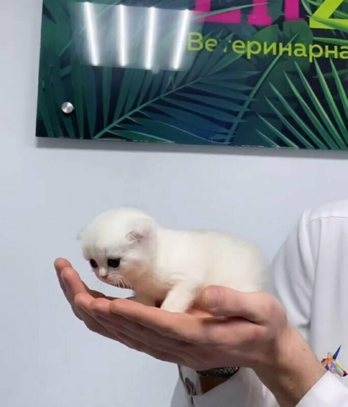 more clinic photos 15486