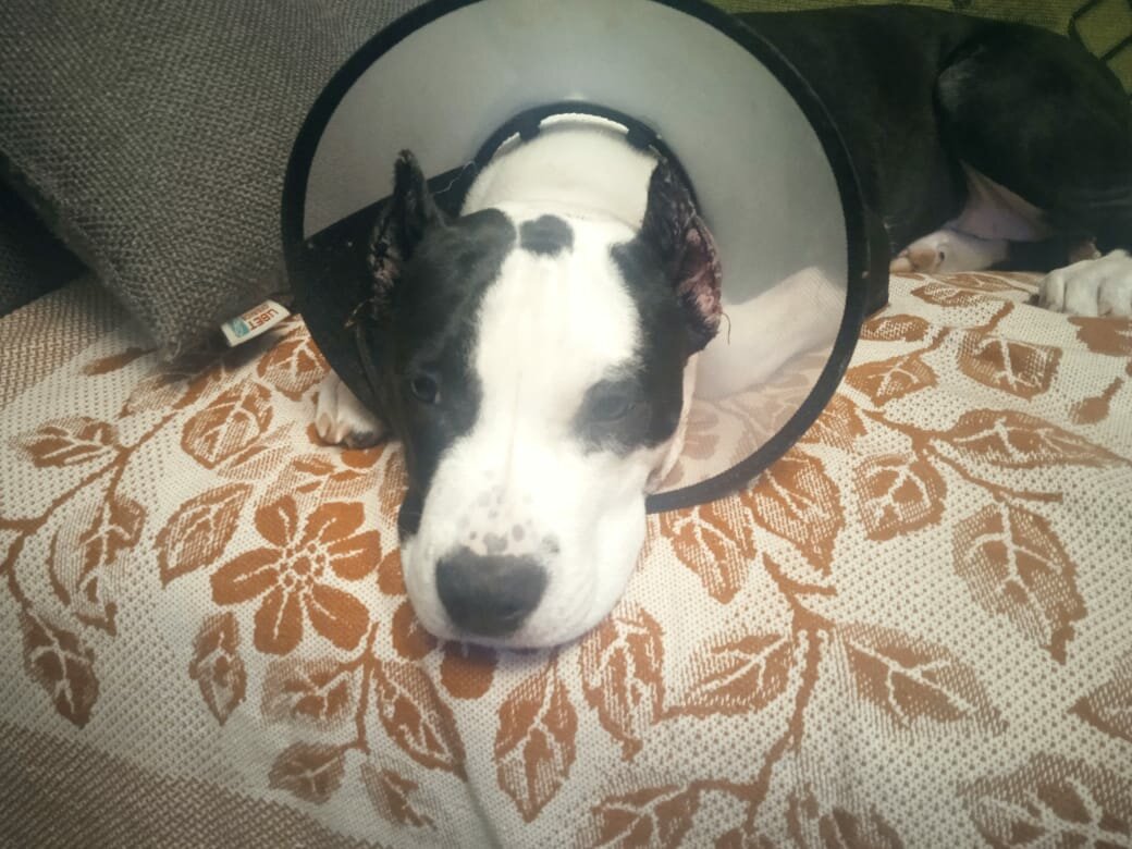 more clinic photos 69144