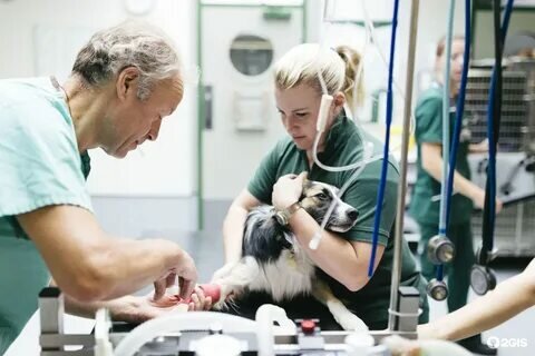 clinic general image