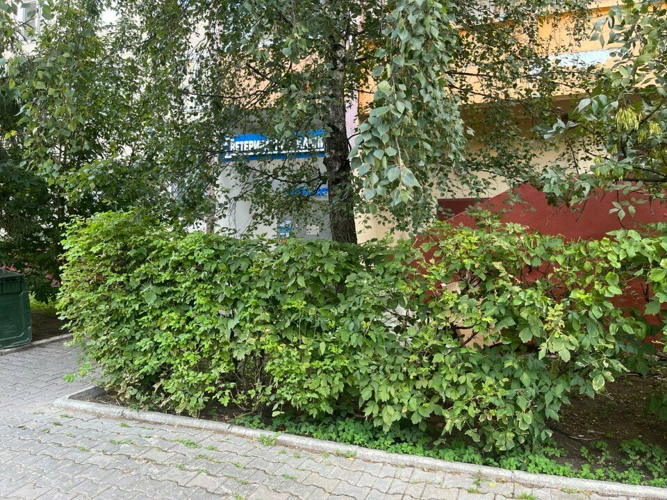 Фото клиники 40837