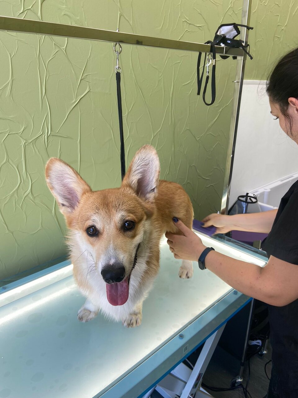 more clinic photos 6037