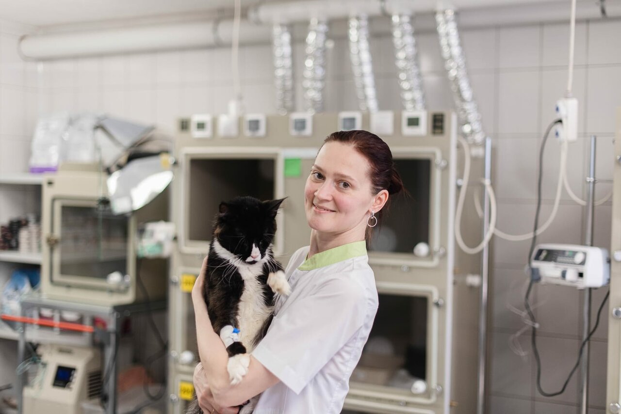 Ветеринарный госпиталь