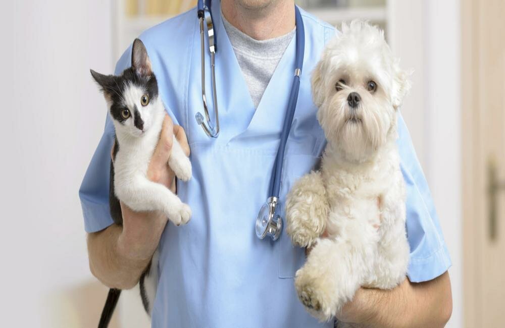 clinic general image