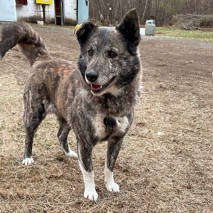 clinic general image