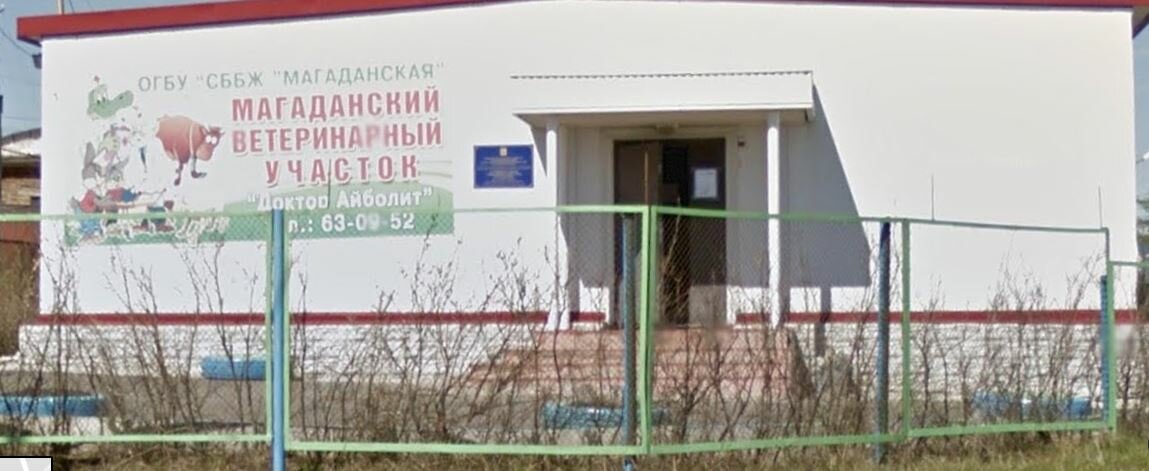 Магаданский ветеринарный участок Айболит
