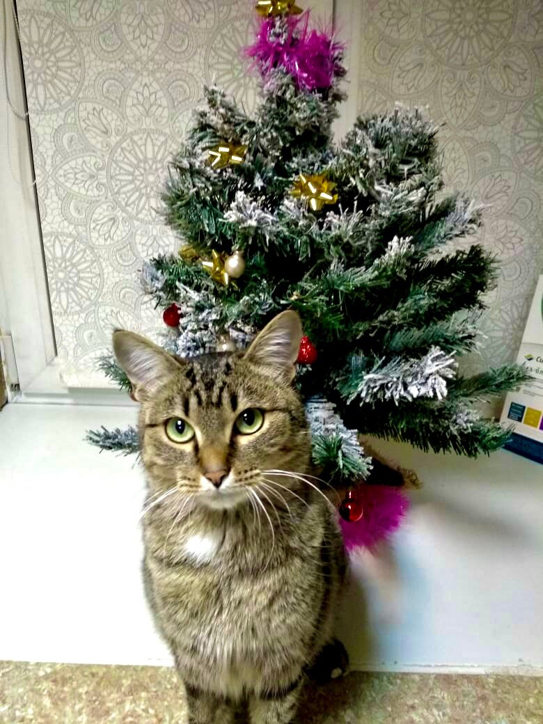 Фото клиники 5161