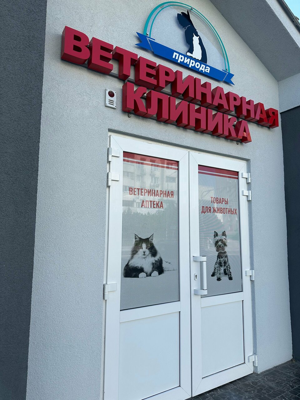 Фото клиники 33710