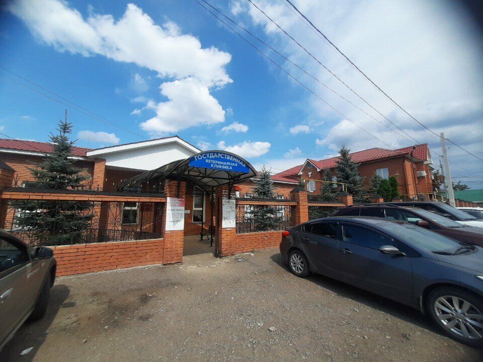 Фото клиники 2175