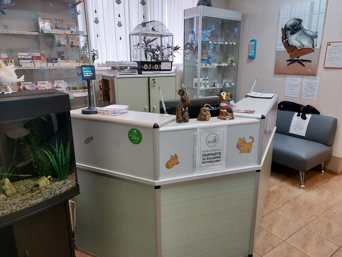 Ветклиника Сова