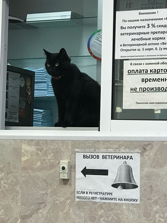 Фото клиники 54994