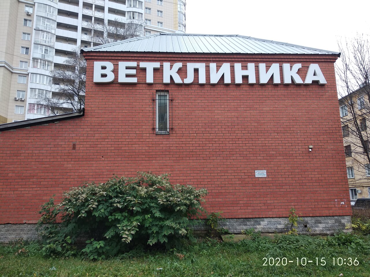 Фото клиники Вместе с верным другом