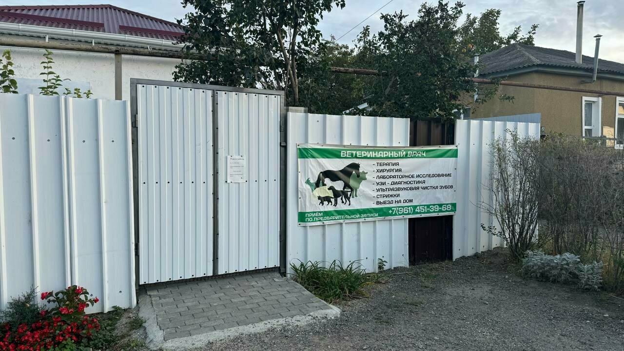 Фото клиники Ветеринарный врач