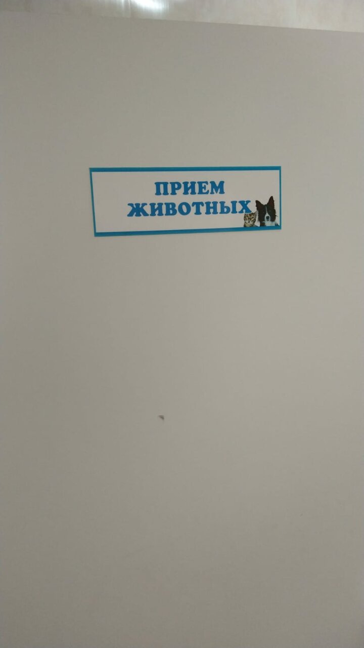 Фото клиники 42349