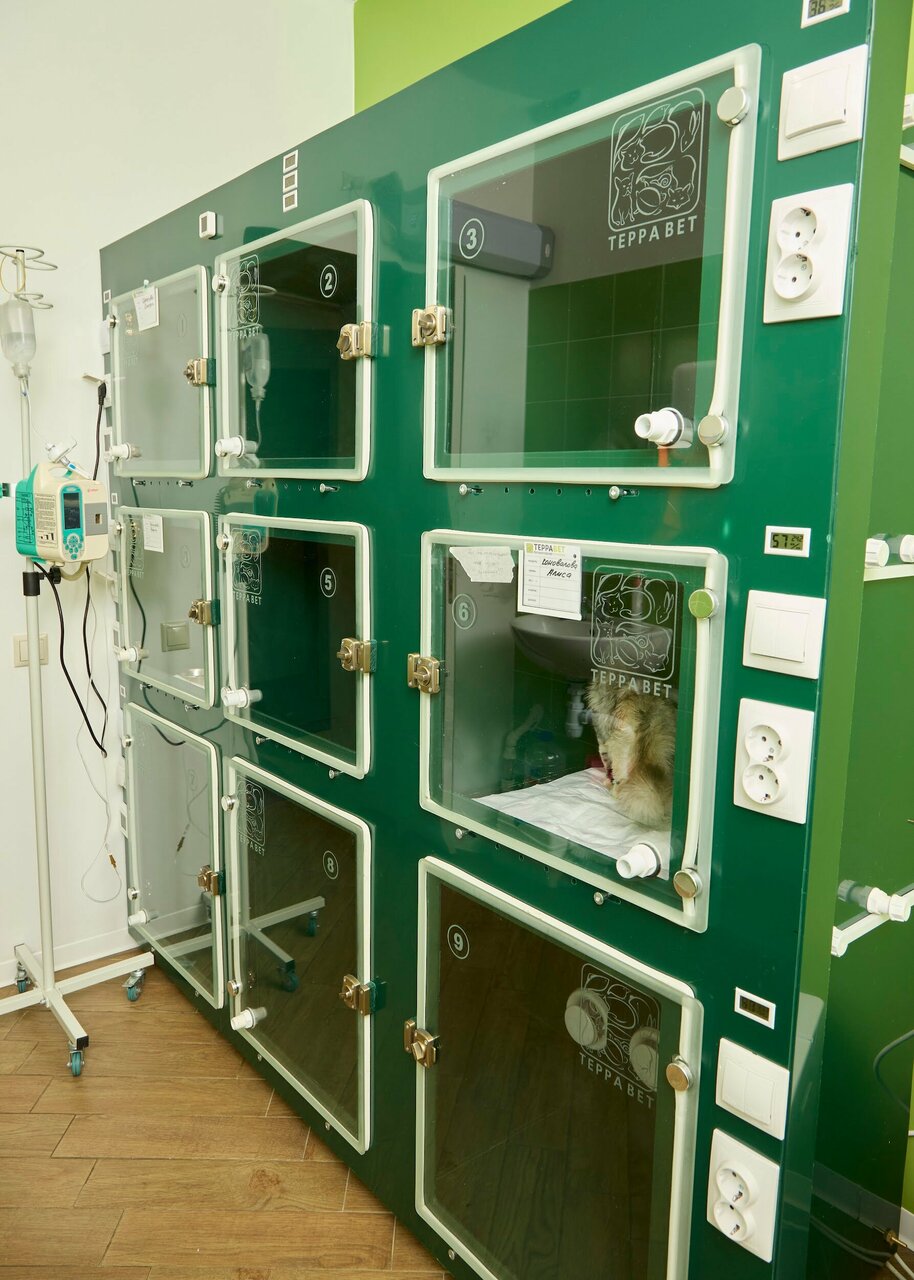 more clinic photos 76649