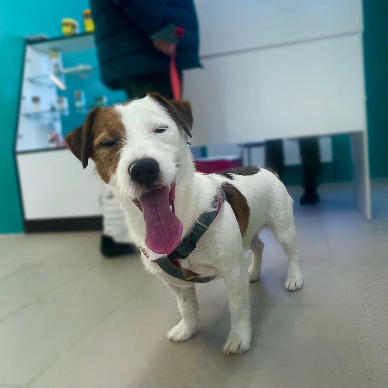 clinic general image