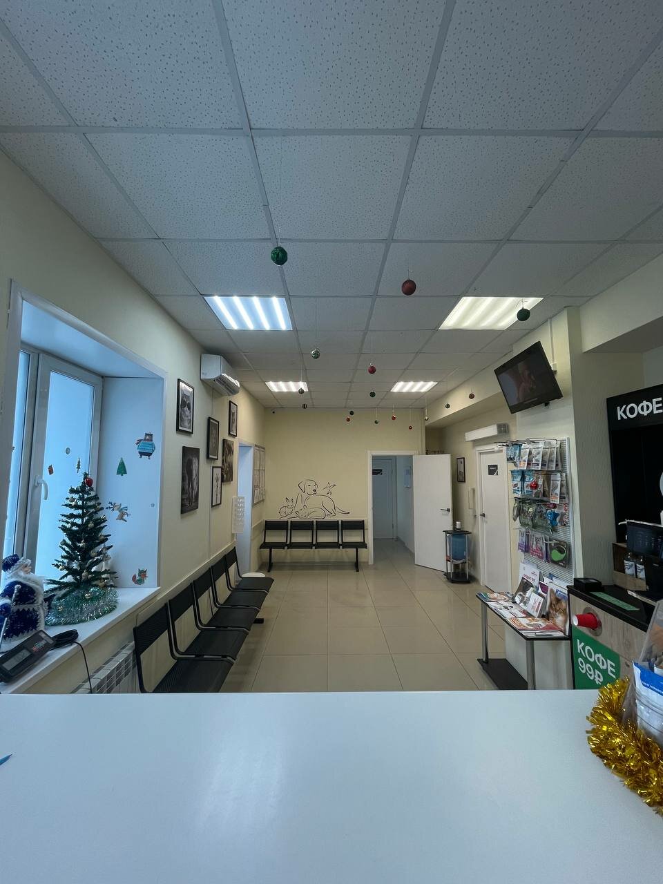 Фото клиники 69579