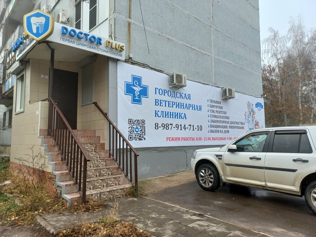 Городская ветеринарная клиника