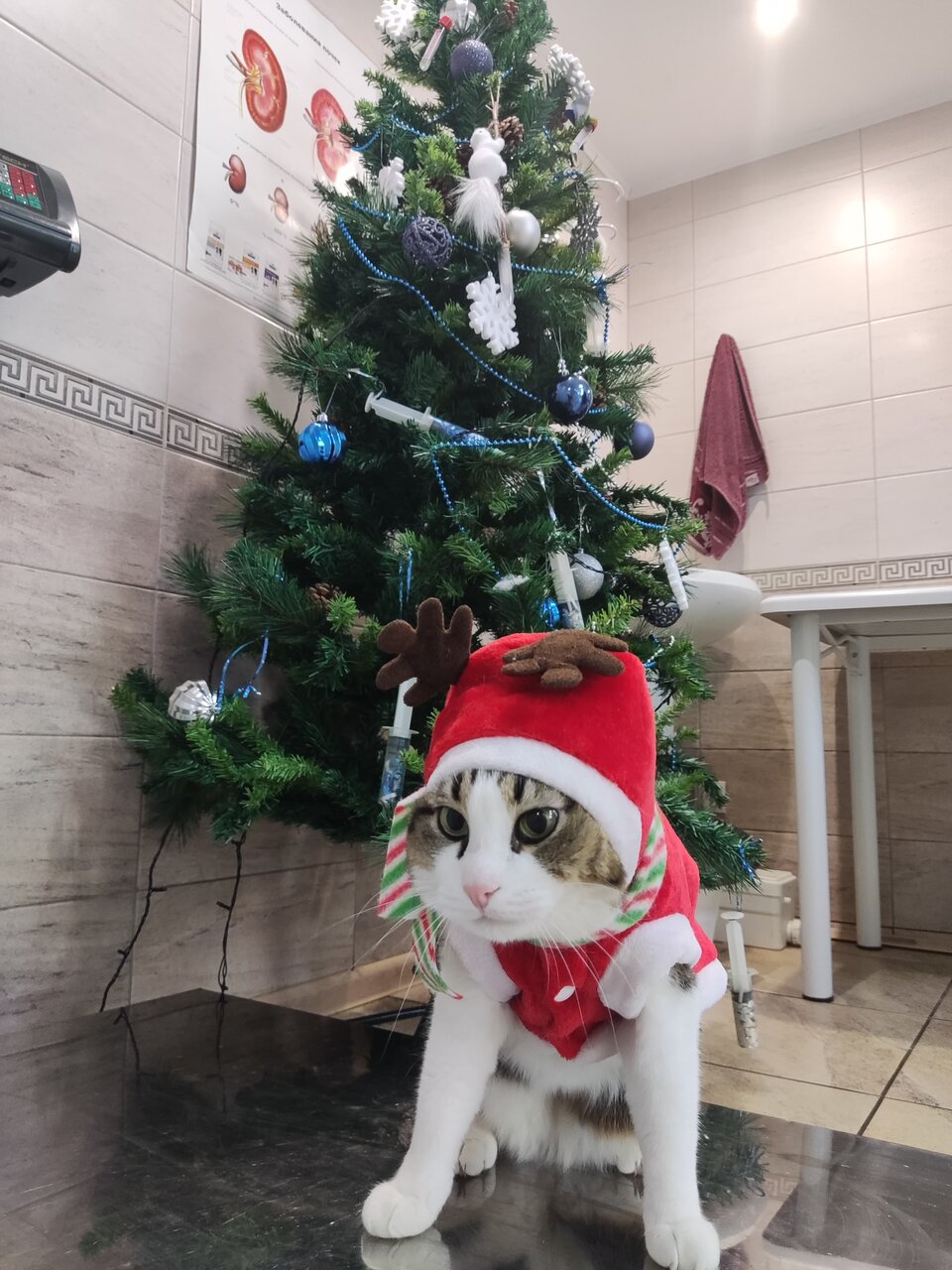 more clinic photos 14443