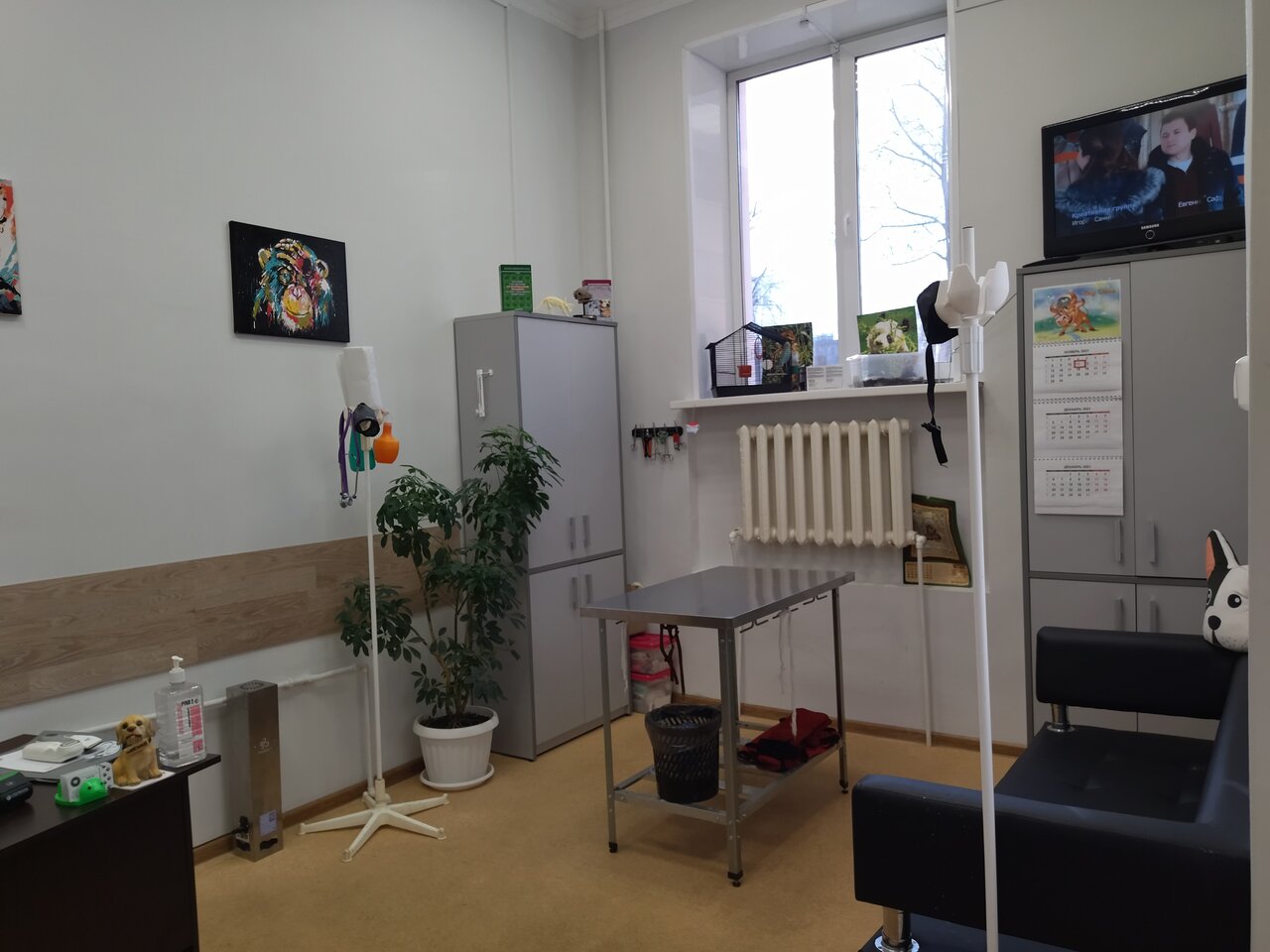 Фото клиники 81430