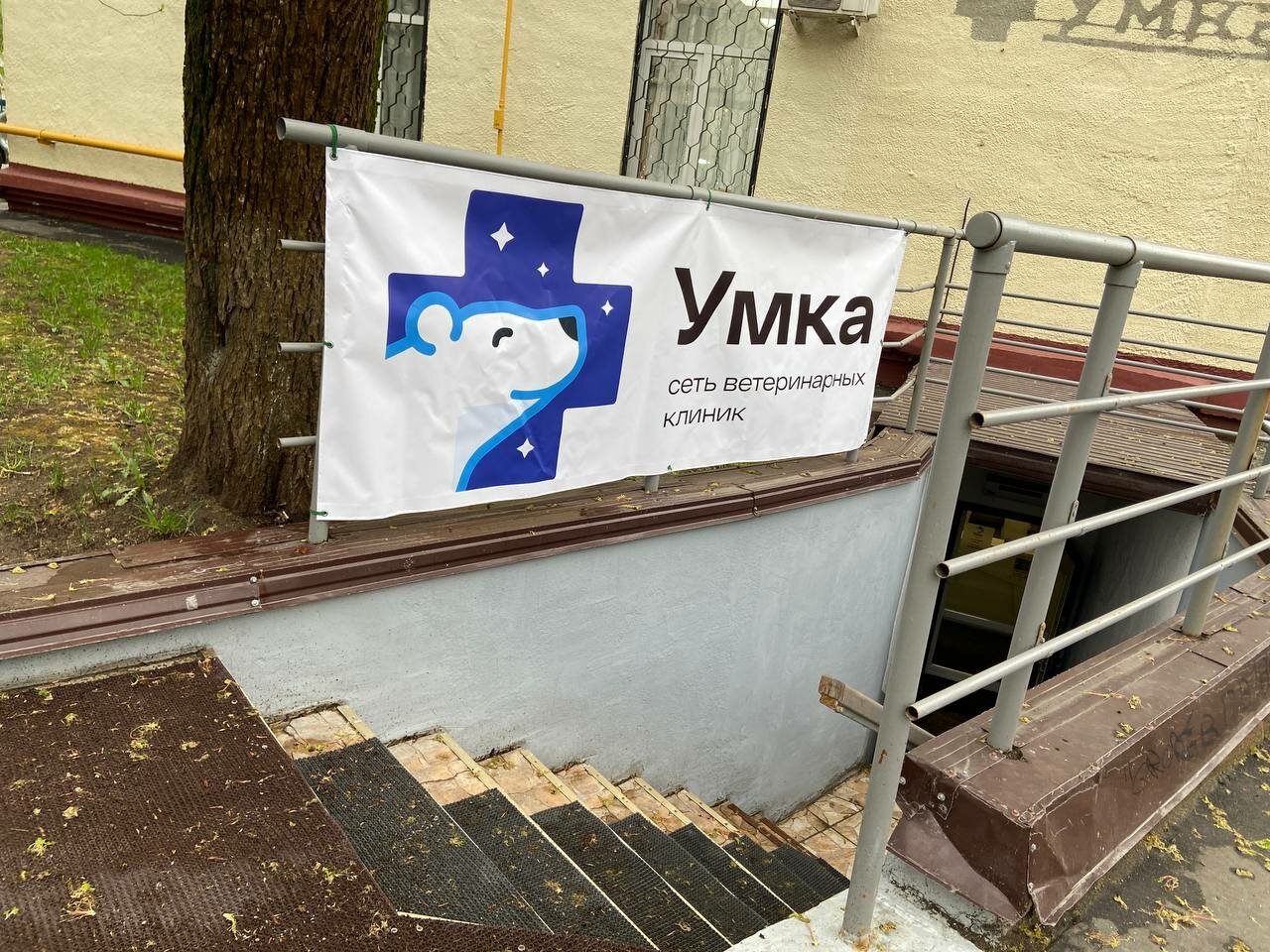 Фото «Умка»