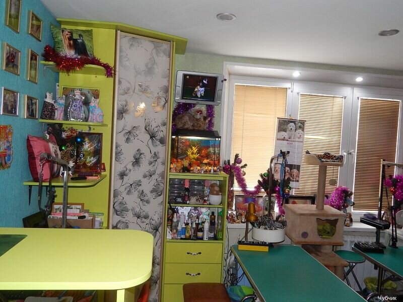 more clinic photos 7033