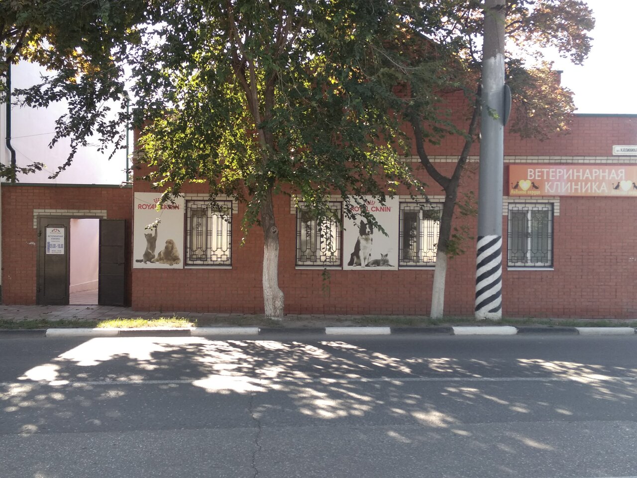 Львиное сердце