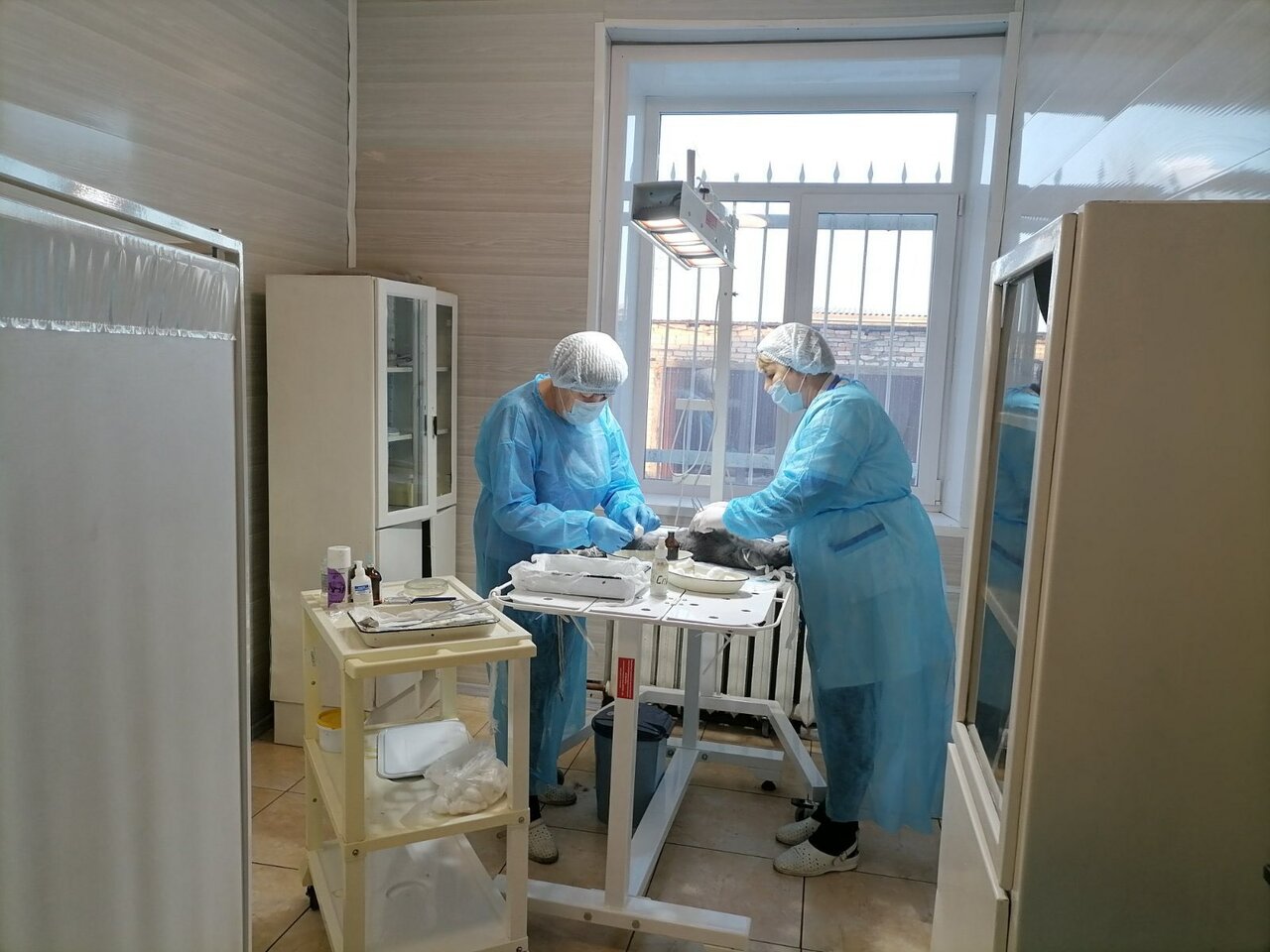 clinic general image