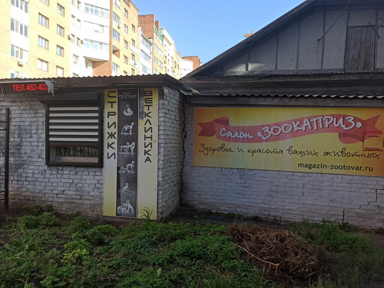 Фото «Зоокаприз»