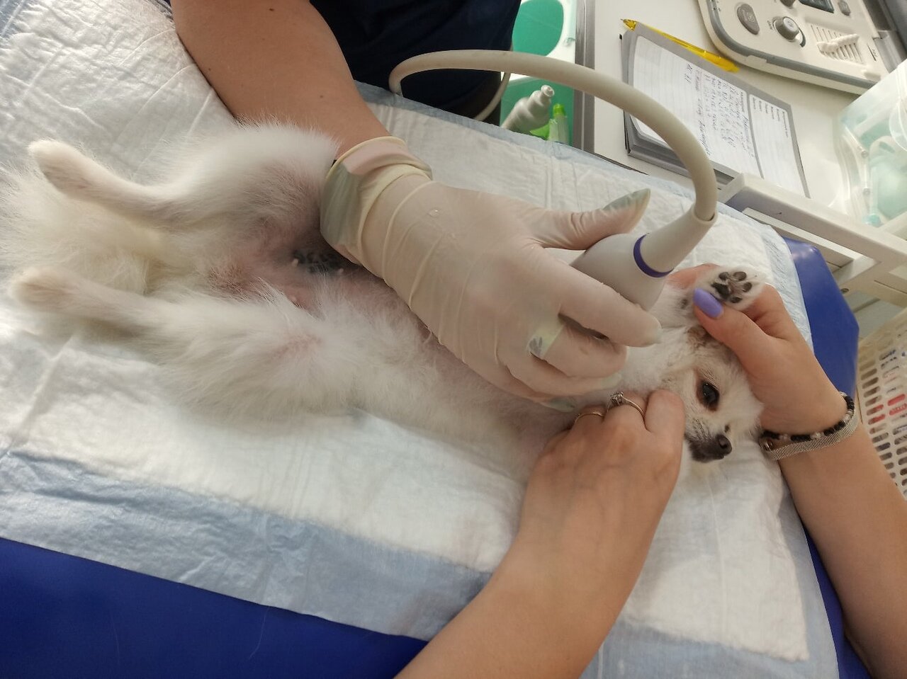 clinic general image