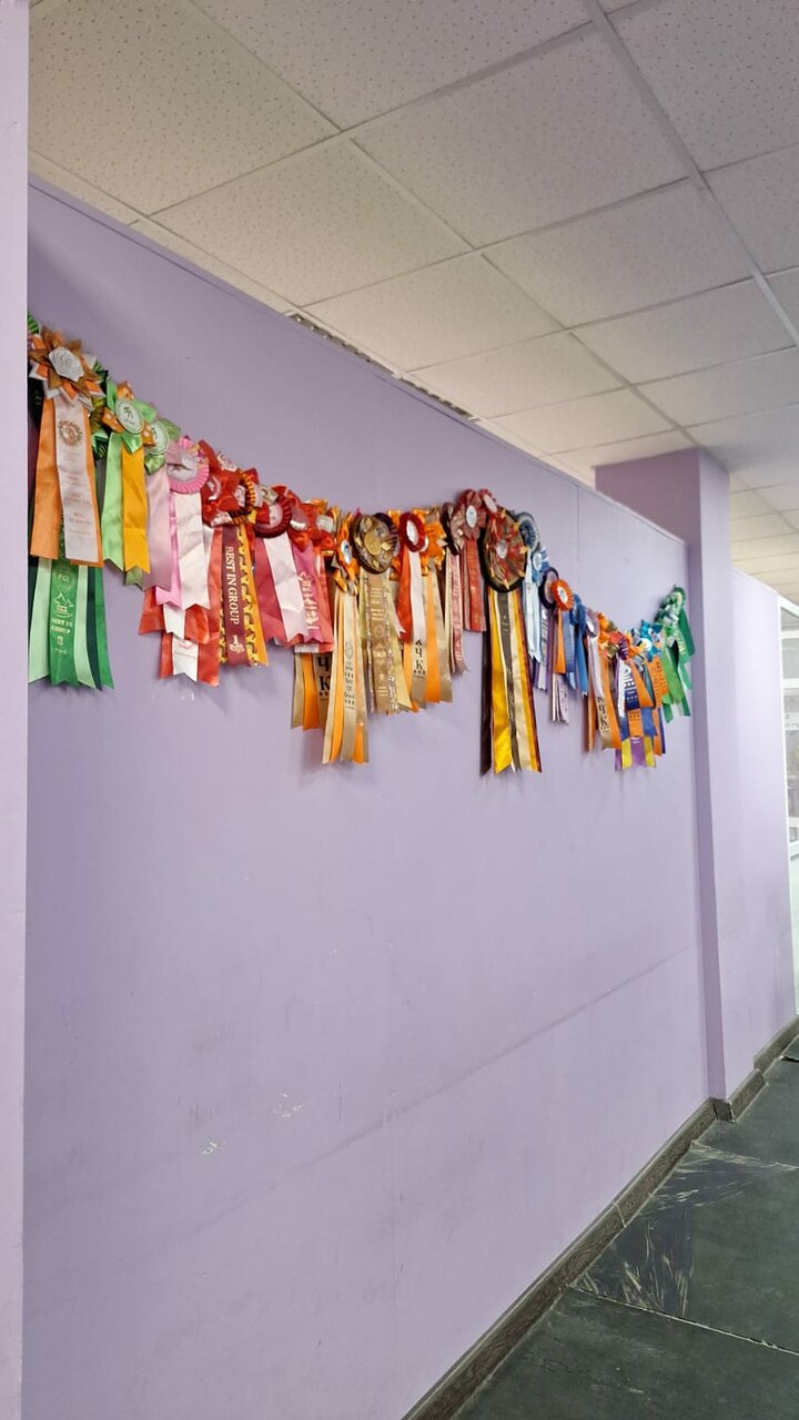 more clinic photos 29128