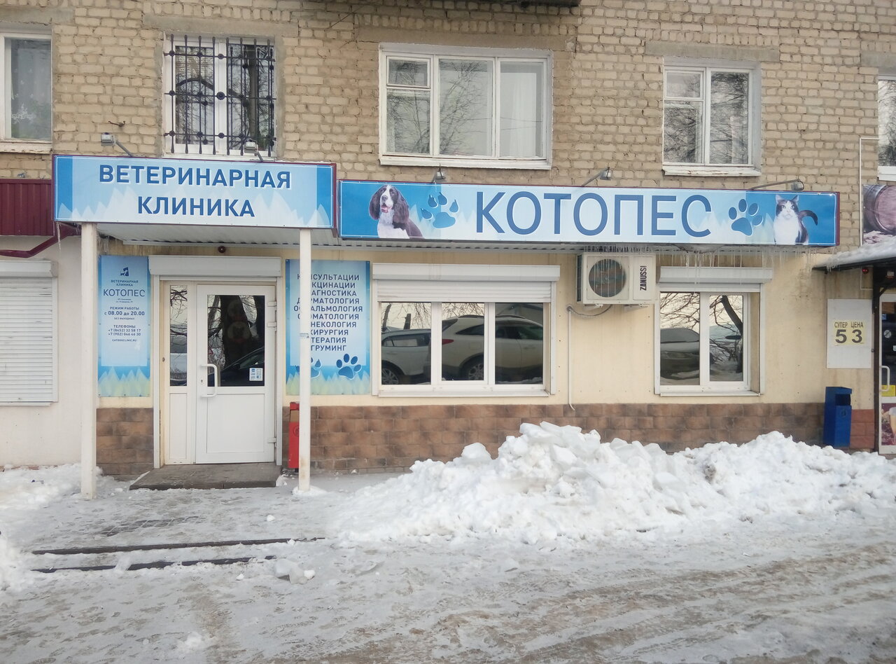 Фото «Котопес»