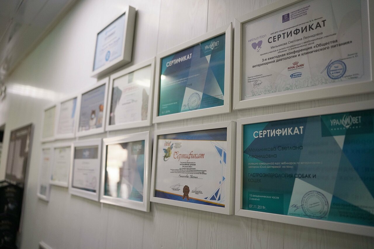 clinic general image