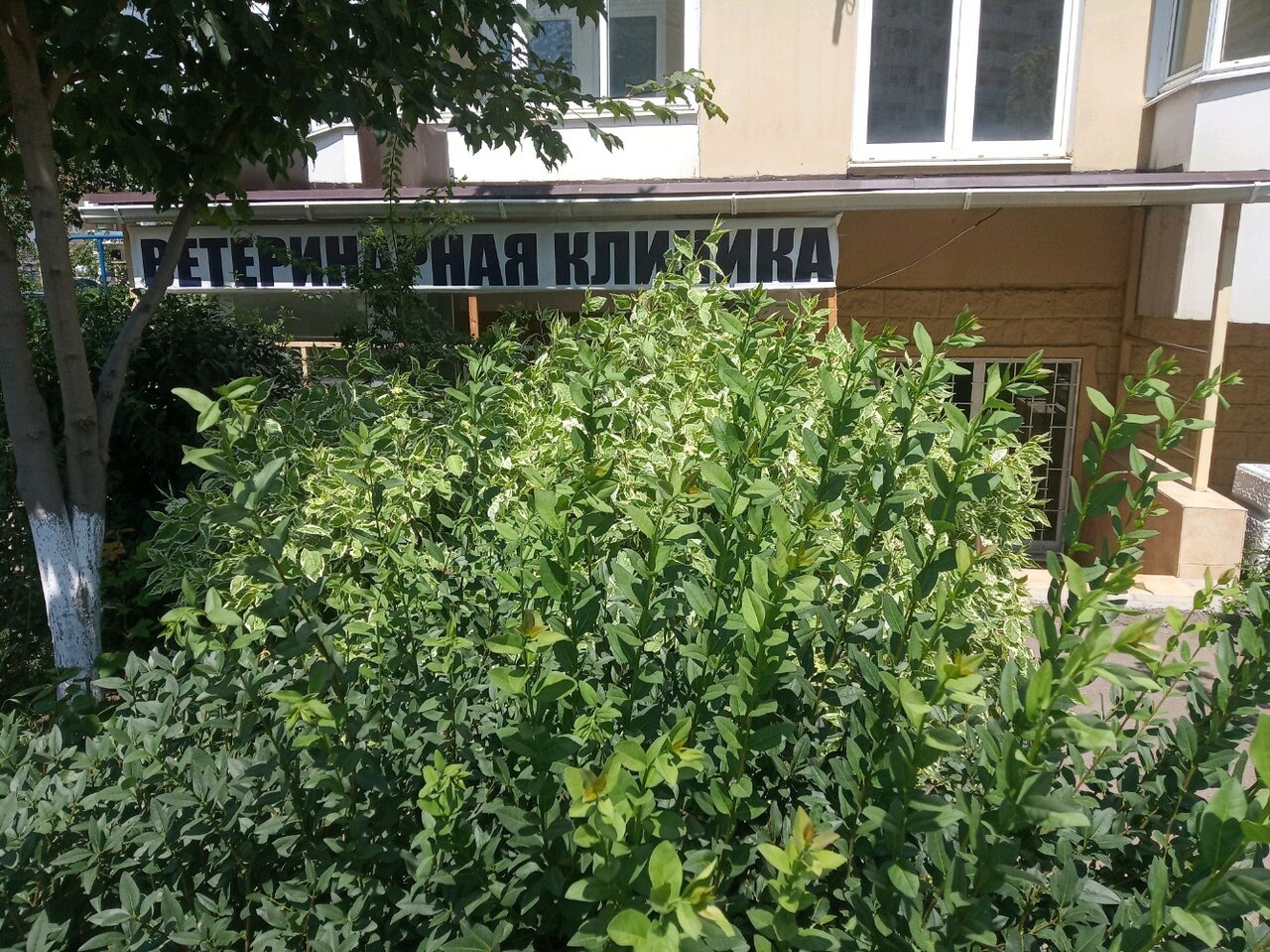 Фото клиники 44333
