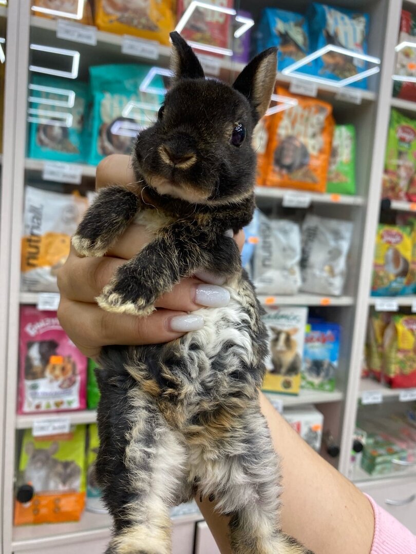 more clinic photos 49009